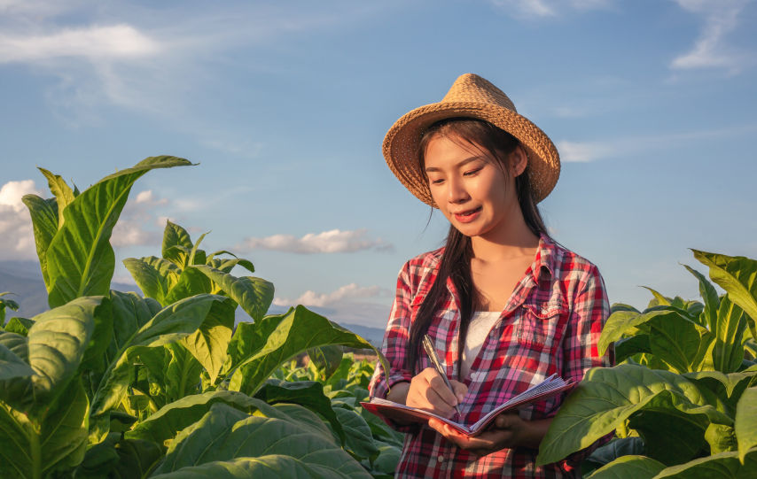 Harvest London Publishes Its First Annua